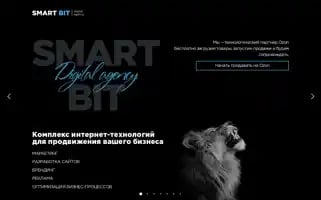 Smartbit45.ru Screenshot 2024-06-29 03:22:35