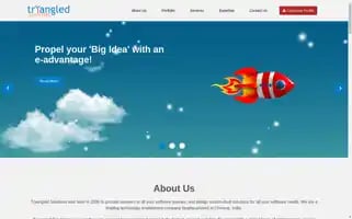 Tryangled.com Screenshot 2024-06-17 00:08:30