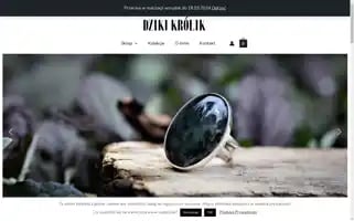Dzikikrolik.pl Screenshot 2024-05-21 22:42:33