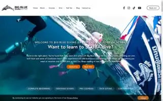 Bigbluediving.com Screenshot 2024-05-08 18:51:21