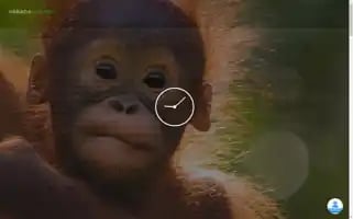 Varadaborneotour.com Screenshot 2024-04-17 03:53:51