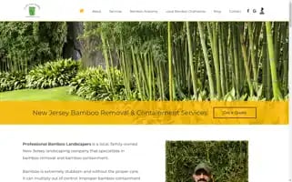 Professionalbamboolandscapers.com Screenshot 2024-06-28 13:22:52