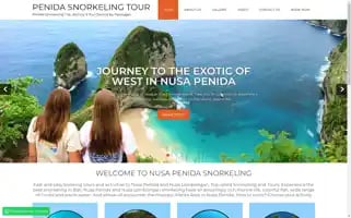 Penidasnorkelingtour.com Screenshot 2024-04-17 16:41:23