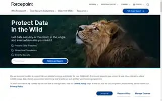 Forcepoint.com Screenshot 2024-06-17 09:19:34