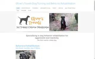 Oliverstravelsdogtraining.com Screenshot 2024-04-18 08:49:34