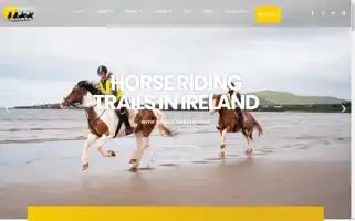 Dinglehorseriding.com Screenshot 2024-06-30 05:29:14