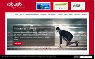 Cobweb.ie Screenshot 2024-06-14 02:07:23