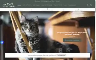 Lachattitude.com Screenshot 2024-05-04 00:50:56