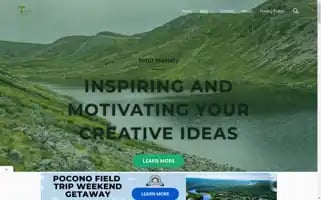 Themavenminds.com Screenshot 2024-05-24 06:42:25