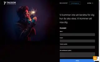 Tagsom.com Screenshot 2024-06-15 13:52:41