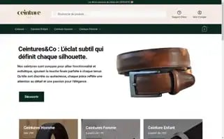 Ceinturesandco.com Screenshot 2024-05-24 22:33:45