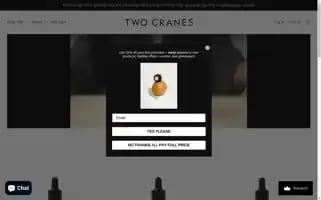 Twocranes.co Screenshot 2024-05-04 20:51:12