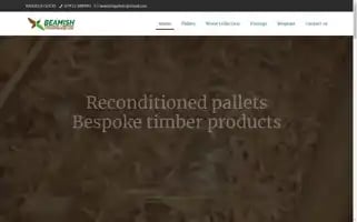 Beamishpallets.co.uk Screenshot 2024-06-14 16:32:47
