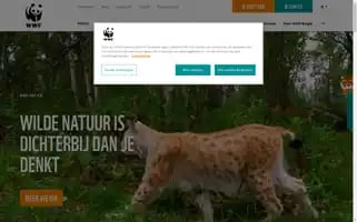 Wwf.be Screenshot 2024-06-17 01:02:11