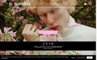 Elfloristafloristeria.com Screenshot 2024-06-12 09:47:11
