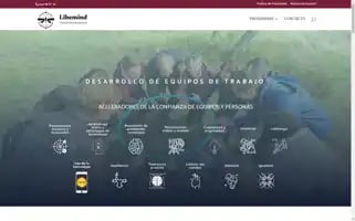 Libemind.com Screenshot 2024-06-16 01:13:31