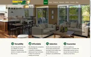 Carpet2go.com Screenshot 2024-05-15 16:38:01
