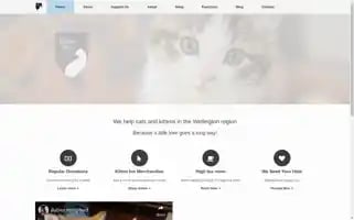 Kitteninn.org.nz Screenshot 2024-06-12 11:55:05