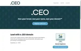 Nic.ceo Screenshot 2024-06-18 17:16:16