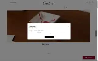 Cartier.cn Screenshot 2024-05-15 22:37:51