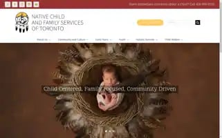 Nativechild.org Screenshot 2024-07-06 05:22:25