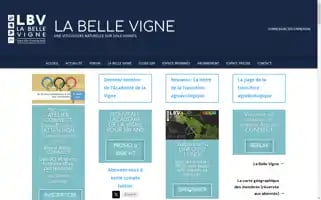 Lbv-france.fr Screenshot 2024-06-30 10:44:50