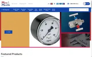 Massmeasuresupply.com Screenshot 2024-05-28 09:38:44