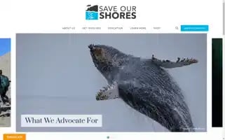 Saveourshores.org Screenshot 2024-06-28 19:32:36