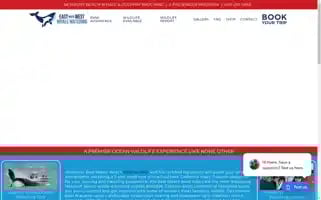 Emwwhalewatching.com Screenshot 2024-07-07 00:31:45