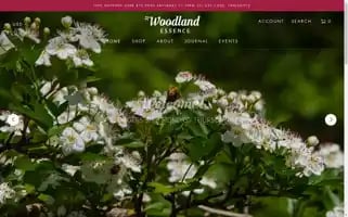 Woodlandessence.com Screenshot 2024-05-05 00:44:56