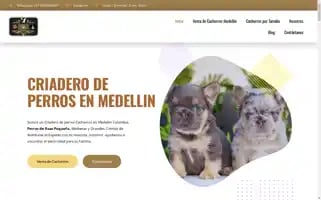 Dinastiacachorros.com Screenshot 2024-06-18 21:48:17