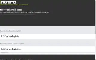 Tesetturhoteli.com Screenshot 2024-04-15 01:53:40