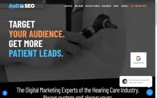 Audseo.com Screenshot 2024-06-13 08:44:49