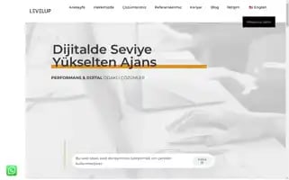 Levelupagency.com.tr Screenshot 2024-06-26 10:00:46