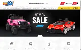 Bigtoysdirect.com Screenshot 2024-05-08 19:08:37