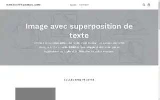 Hamza3fff-gmail-com.myshopify.com Screenshot 2024-04-25 21:41:00
