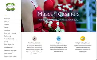 Mascaricleaners.com Screenshot 2024-05-16 07:08:35