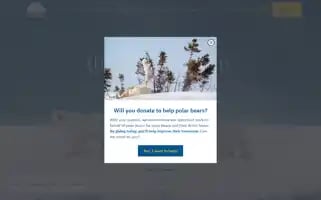 Polarbearsinternational.org Screenshot 2024-06-29 15:41:14