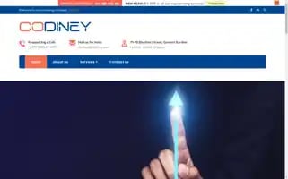 Codiney.com Screenshot 2024-05-23 10:06:46