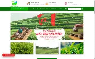 Tranuihongthainguyen.com Screenshot 2024-05-29 02:46:13