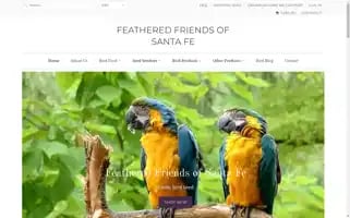 Ffofsf.com Screenshot 2024-07-02 17:05:11