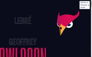 Owlcoon.fr Screenshot 2024-05-23 01:01:21