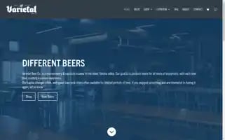 Varietalbeer.com Screenshot 2024-07-06 02:57:21