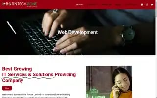 Borntechzone.com Screenshot 2024-05-26 04:19:57