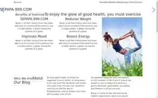 Sarul.top Screenshot 2024-06-14 05:41:29