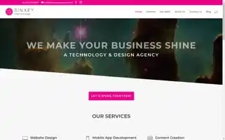 Binarystarsystems.com Screenshot 2024-07-02 22:08:46
