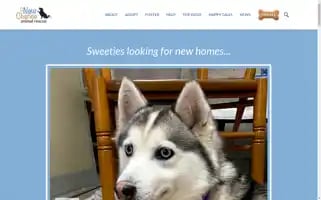 Anewchancear.org Screenshot 2024-07-01 11:30:16