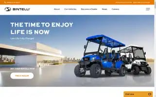 Bintelli.com Screenshot 2024-05-15 14:36:21