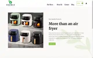 Ekowiz.com Screenshot 2024-05-22 20:02:46