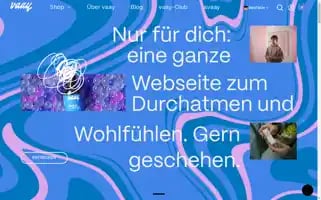 Vaay.com Screenshot 2024-05-04 10:30:29